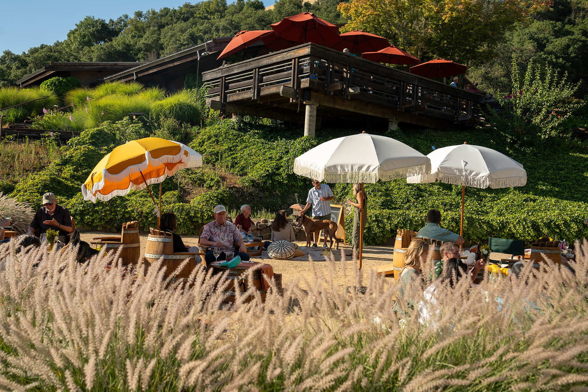 An elevated wood patio with orange, yellow, and white umbrellas on and beneath it, with people sitting in chairs.